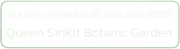 https://botanic.qsbg.org/